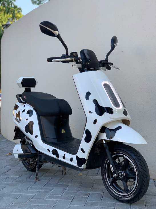 台铃大牛电动车,60V五大电池!蒙牛板画,...