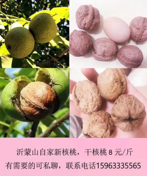 沂蒙山自家干核桃，个大皮薄，果实香醇！