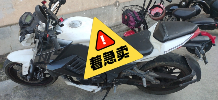 可议价，要的赶快联系我哦，点我想要