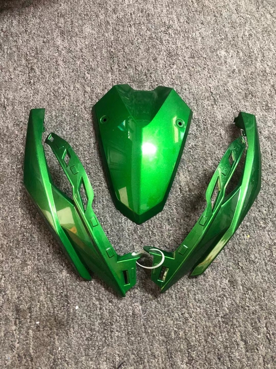Z1000 大蟒蛇 原厂头罩板