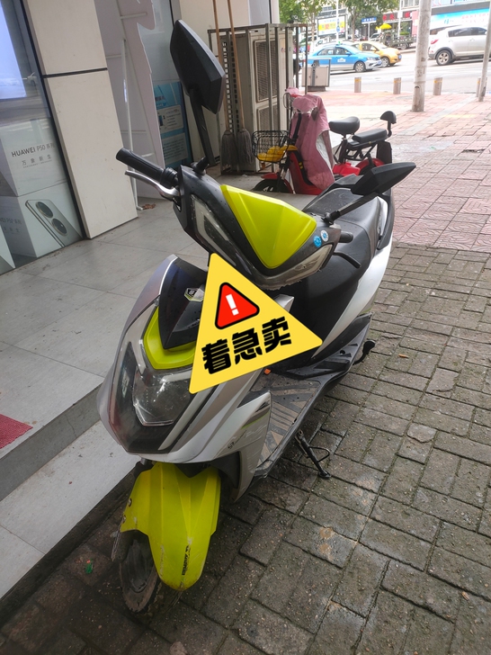 国威原装电动车，无修，无改，急售1275元