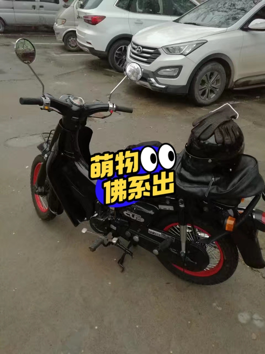 一七年五月份入手宗申110幼兽  目前八千...