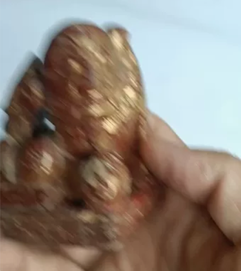 清代金漆木雕狮子，刻工精细，栩栩如生，装饰...