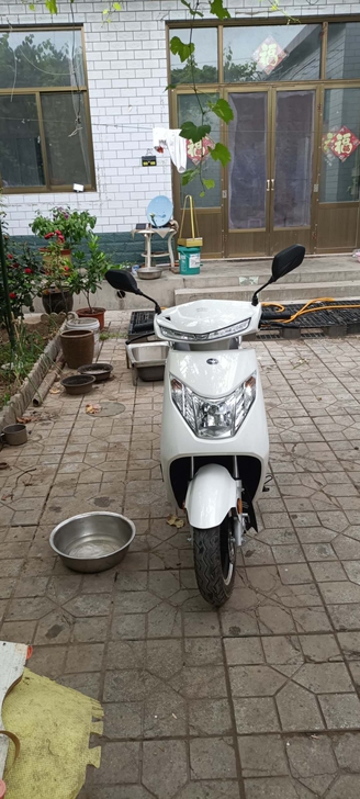 电动摩新大洲本田，1200瓦博世电机动力杠...