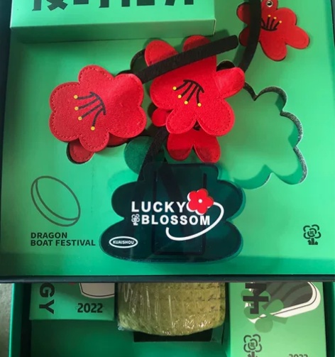 快手礼盒包含摩飞榨汁杯空调毯帆布包两种绿植...