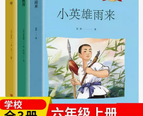 快乐读书吧六年级上下册爱的教育汤姆索亚历险...