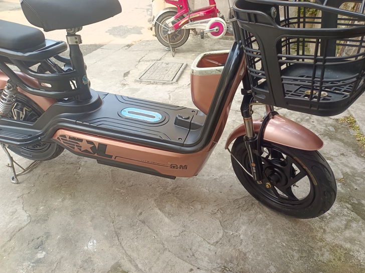 金箭48V 电动车 新充电器...