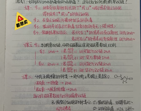 最 全 高 中 生 物 优秀 笔 记，字体...