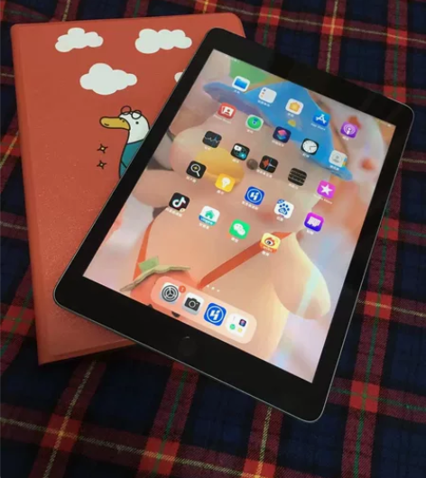 闲置了iPad2018 深空灰 128g平...