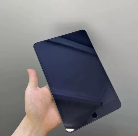 ipad mini5 2019款 国...