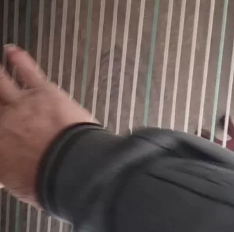 古筝。正常使用中的，21跟弦，165035...