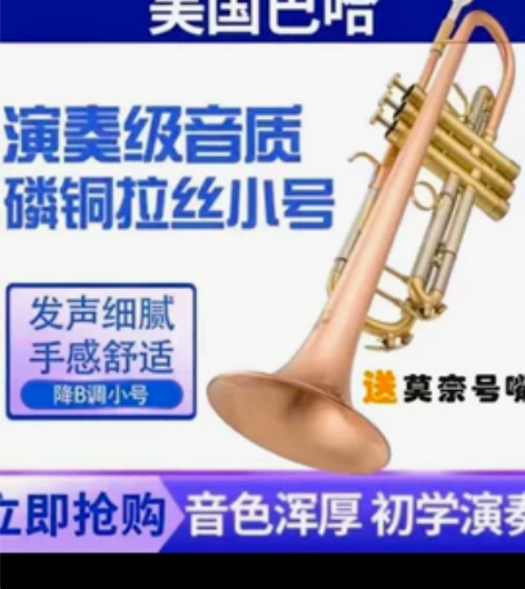 雅马哈拉丝小号。加重款 感兴趣的话点“我想...