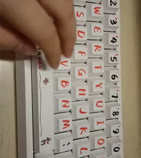 出一把自组静音键盘 套件是欧赛得67，有旋...