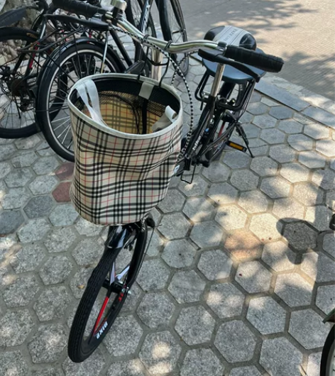 折叠自行车 20寸 带锁和工具 买小了 骑...