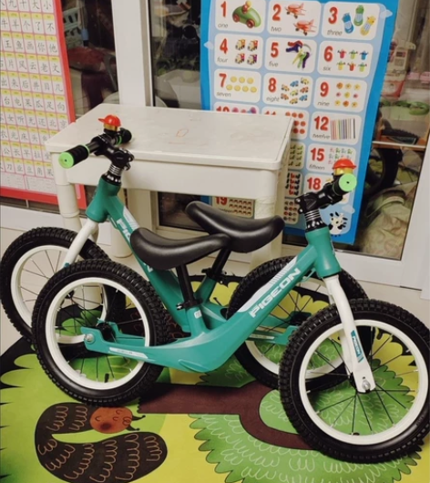 飞鸽1-2-3-4-5-6岁儿童宝宝小孩无...