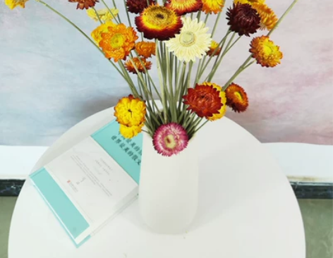 天然干花麦秆菊真花小雏菊家居装饰摆设插花 ...