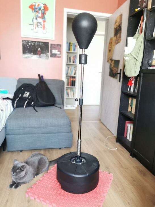 拳击解压训练球，50自提。