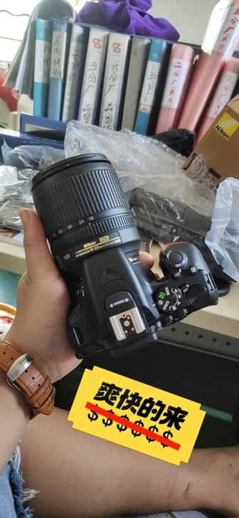 Nikon/尼康D5600 最有性价比的入...