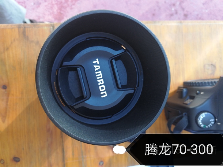 腾龙70-300，佳能口镜头。