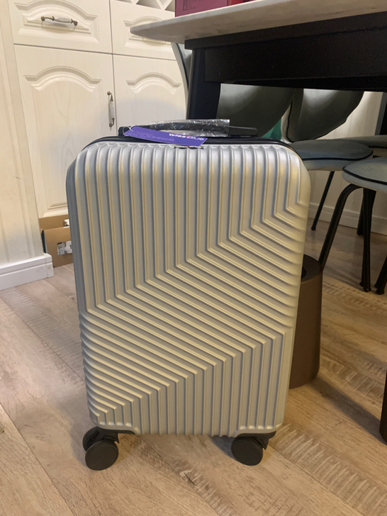 维仕蓝拉杆箱20寸，很漂亮的银灰色