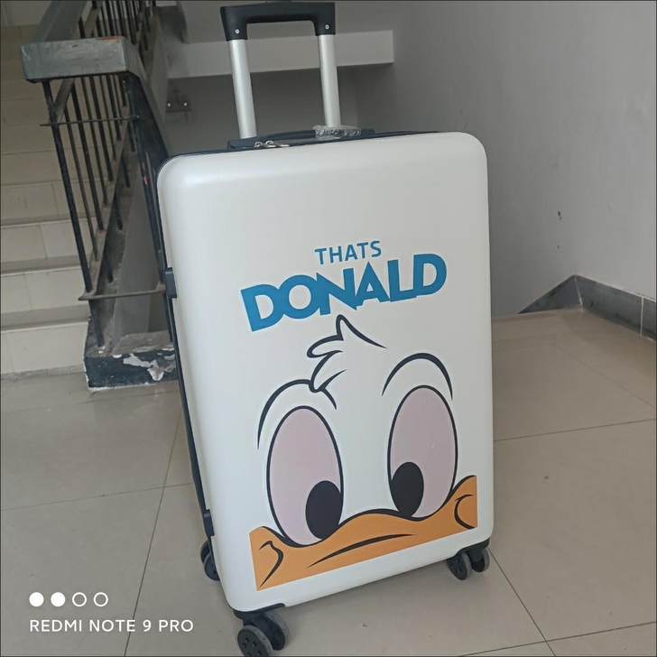 卡通行李箱男女学生拉杆箱小清新拉杆箱学生皮...