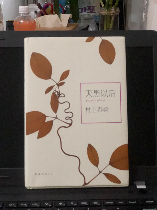 【村上春树】天黑以后