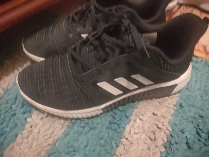 Adidas网布跑鞋，还蛮可以的，