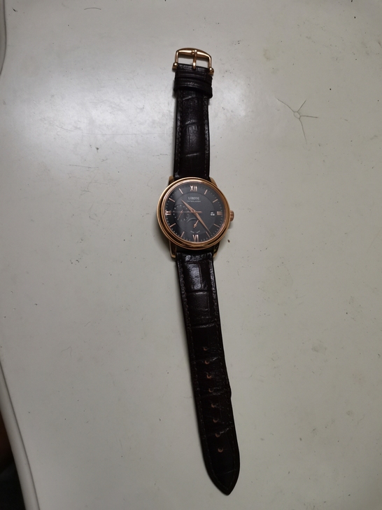 罗宾尼机械男表 如图实拍  手表有时候走，...