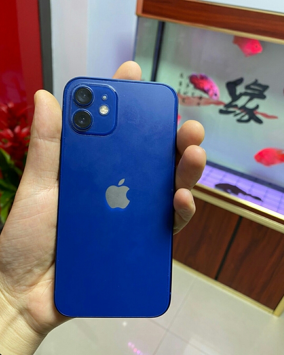 自己准备买13，所以这个苹果12想卖掉 没...