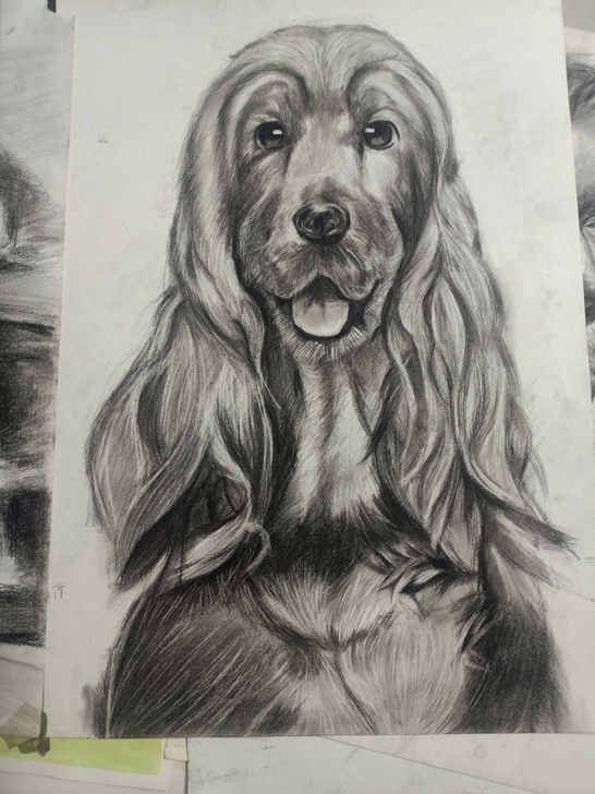 4K素描作品  都刻画很精细 价位不一样5...