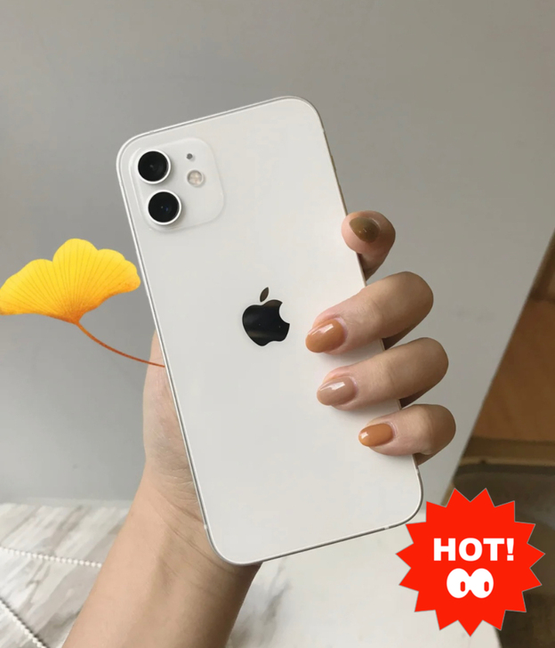 捡漏iPhone苹果12 128G有面容 ...