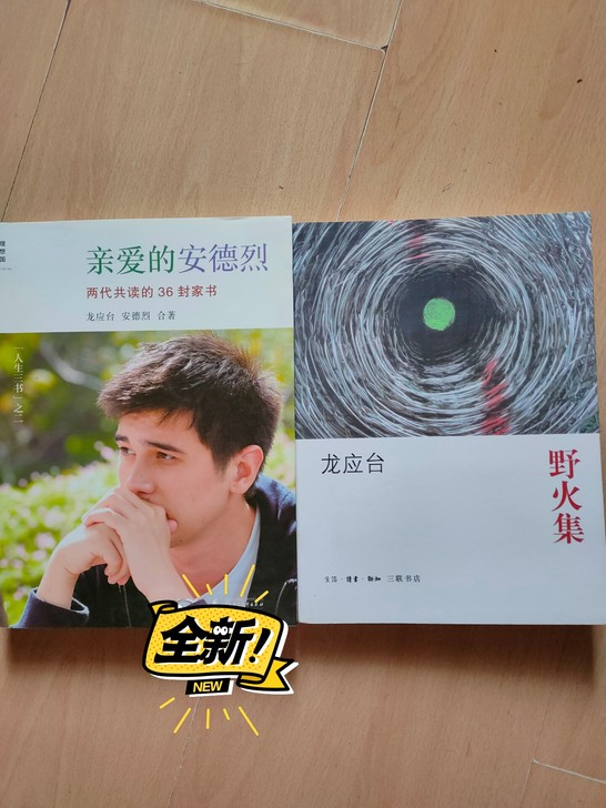 亲爱的安德鲁烈 野火集 龙应台散文