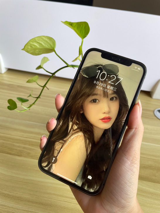 苹果12ProMax 256G 有面容正品...