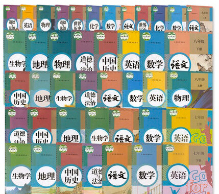 二手人教版初中语文数学英语物理化学生物政治...