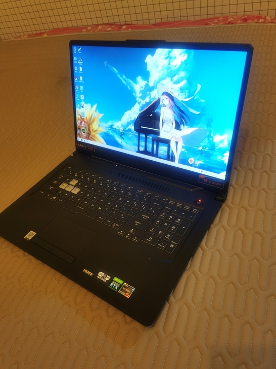 华硕天选2plus 17.3寸 日蚀灰，处...