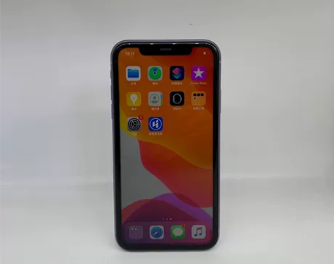 95新 Apple/苹果 苹果 iPhon...