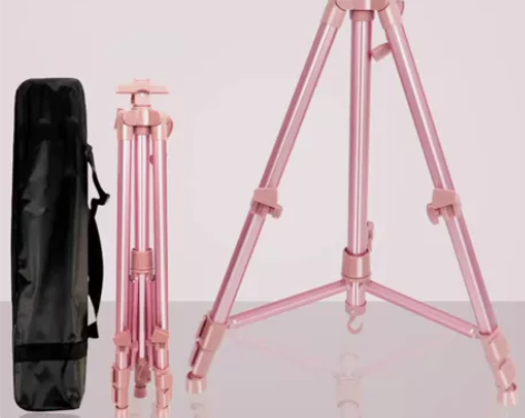 画架九九新，只用过两次，十块出，不过要自掏...