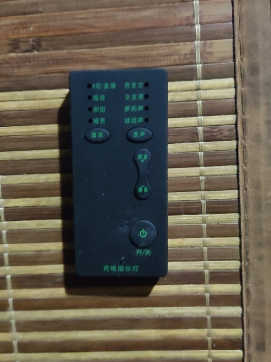 某品牌变声器