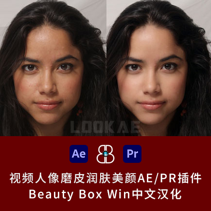 Win中文汉化版-视频人像磨皮润肤美颜AE...
