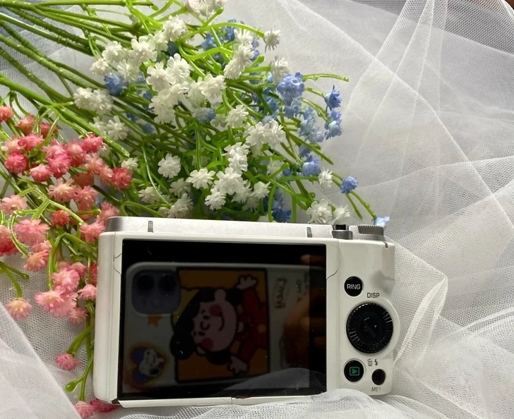 求购Casio/卡西欧 EX-ZR1000...