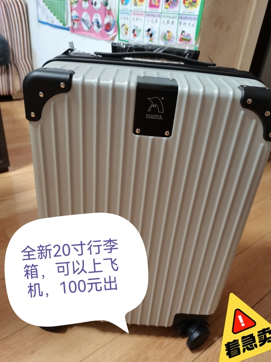 全新20寸行李箱,100元出,可以上飞机