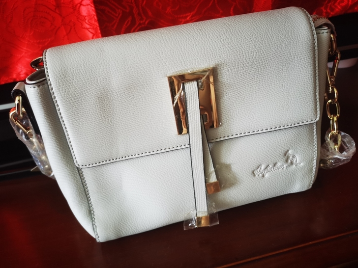 全新皮包，不适合自己，一次没用过，50元包...