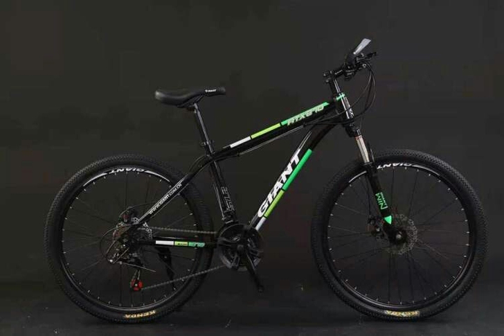 【全新出售】捷安特山地车自行车男女中青年学...