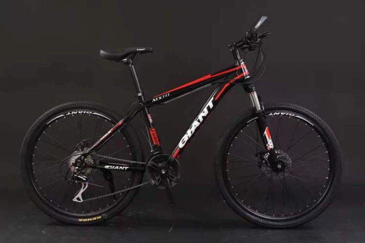 全新辐条轮捷安特山地自行车男女中青年学生变...