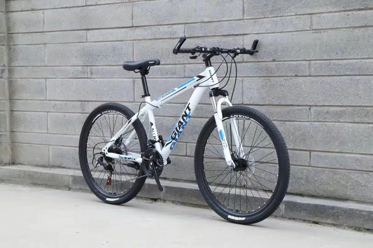 包邮捷安特777，全新正品组装，现货秒发，...