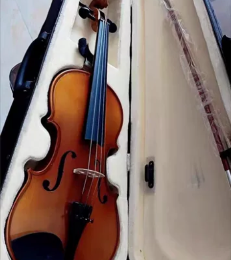小提琴自用款4/4小提琴，几乎全新，学不会...