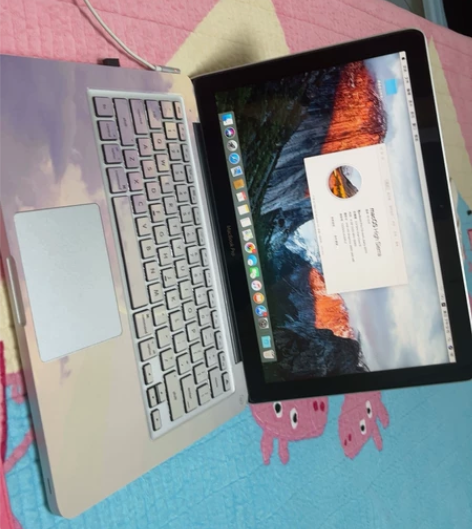 个人办公苹果笔记本，自升级256G 固态 ...