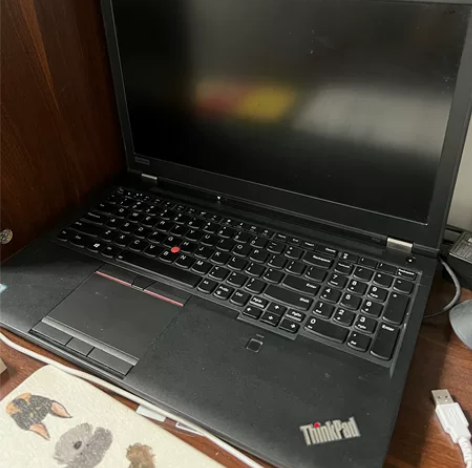 自用thinkpadp52s 港版  想换...