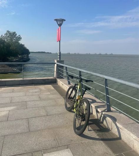 SAVA    的山地车，3×10速，碳纤...