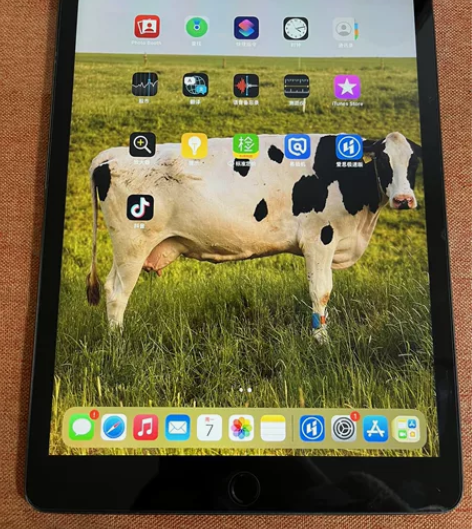 国行IPad 2020 10.2寸第8代 ...